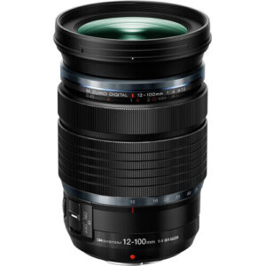 12 100mm.jpg