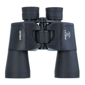 60ae8b66 0790 4139 9424 a21c16458ea5 gbs1250.png