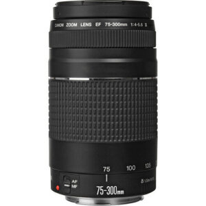 75 300a.jpg