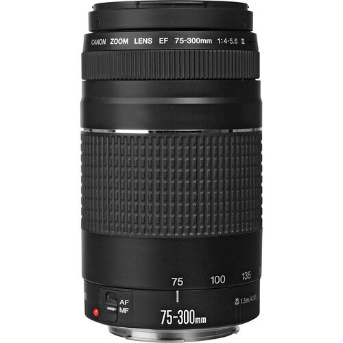 75 300a.jpg