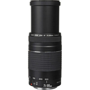 75 300b.jpg