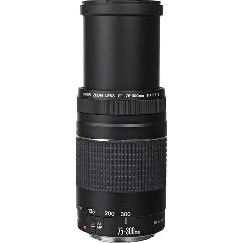 75 300b.jpg