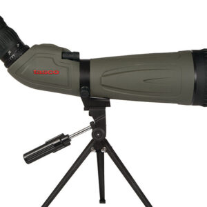 98b5c6d5 4102 4456 958d 24e4df7d6e26 13109 1.jpg