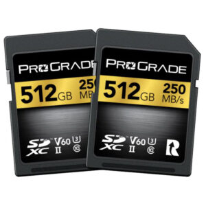e400bae5 4cb7 4c26 b350 35f3c906869c pgsd512gbk2na.jpg