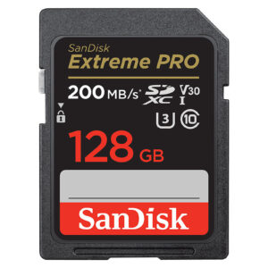 ea836e27 d19b 45ab 82f8 c37cab6420d1 sdsdxxd 128g gn4in.jpg