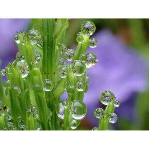 tg 7 tough digital camera blackh.jpg