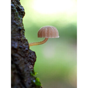 tg 7 tough digital camera blacki.jpg