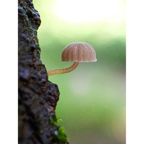 tg 7 tough digital camera blacki.jpg