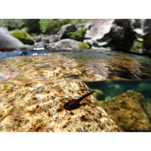 tg 7 tough digital camera blackj.jpg