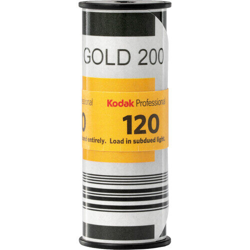 kodak gold 200 iso 120 single roll .jpg