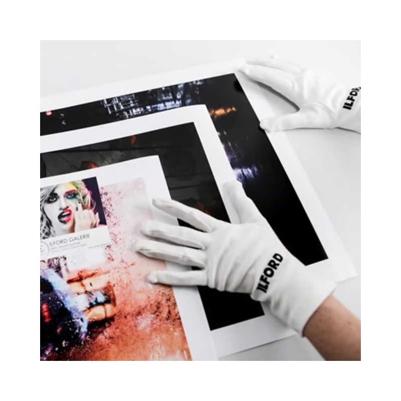 product 800x800 6 4.jpg