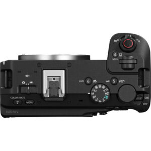 canon eos r6v body