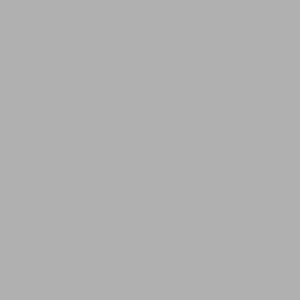 savage background paper focus grey 2.72x11m